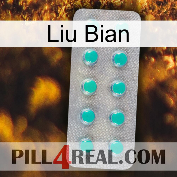 Liu Bian 28